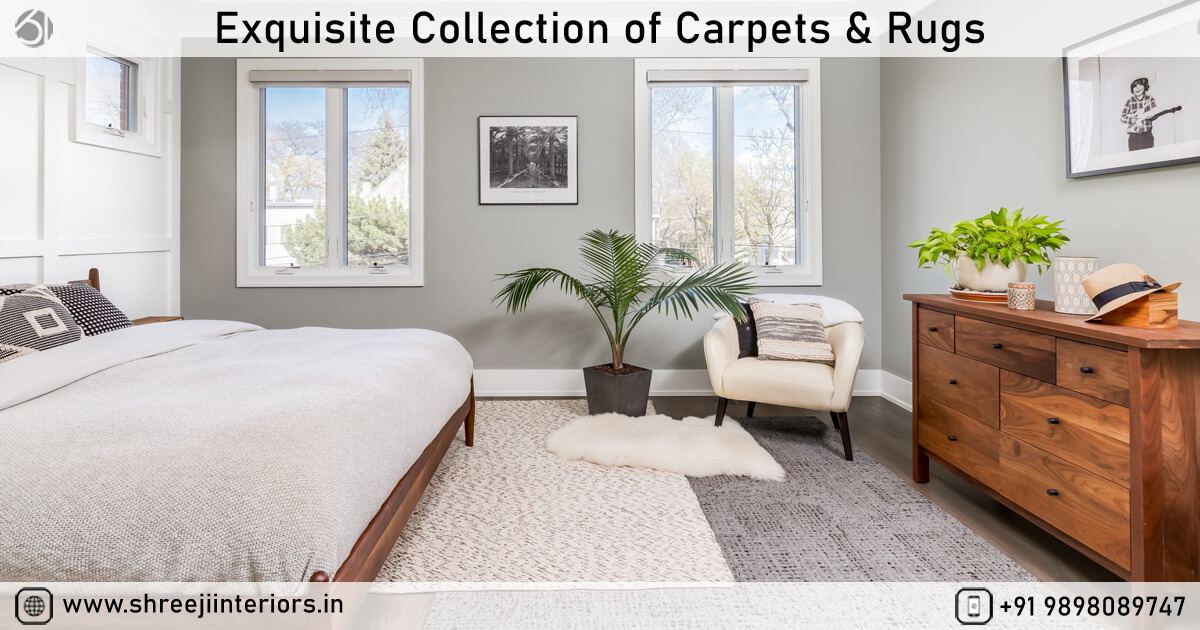 Top Best Carpet & Rugs